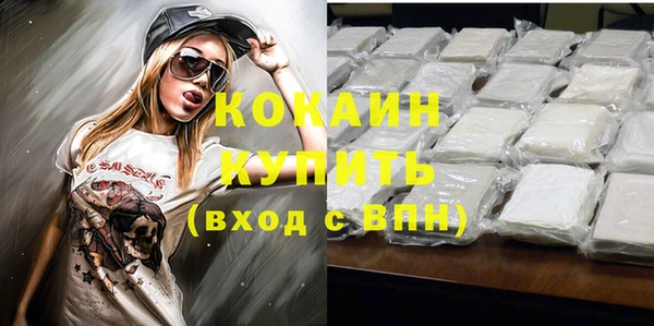 mdpv Бородино