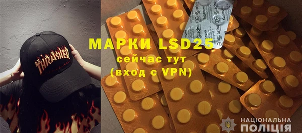 mdpv Бородино