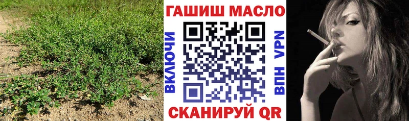 ОМГ ОМГ как войти  где можно купить   Отрадная  ТГК концентрат 