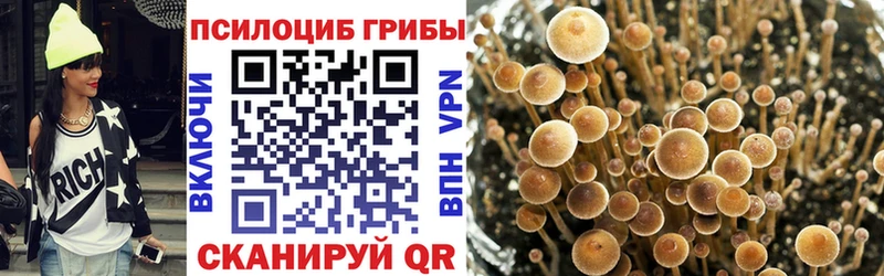 Псилоцибиновые грибы прущие грибы  где продают   Отрадная 